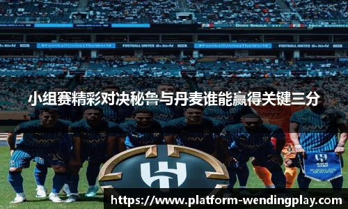 小组赛精彩对决秘鲁与丹麦谁能赢得关键三分